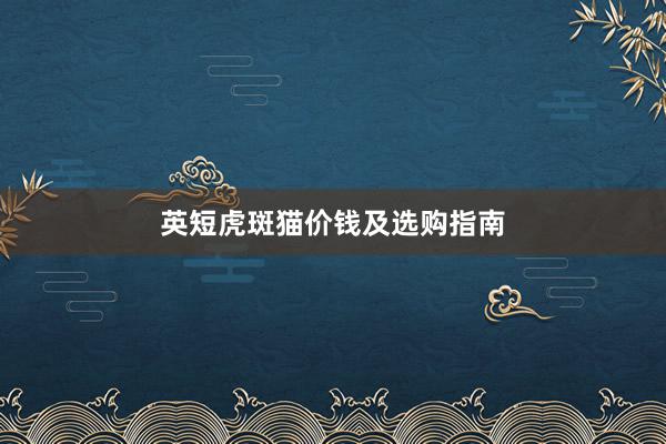 英短虎斑猫价钱及选购指南