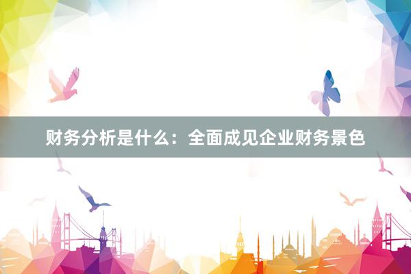 财务分析是什么：全面成见企业财务景色