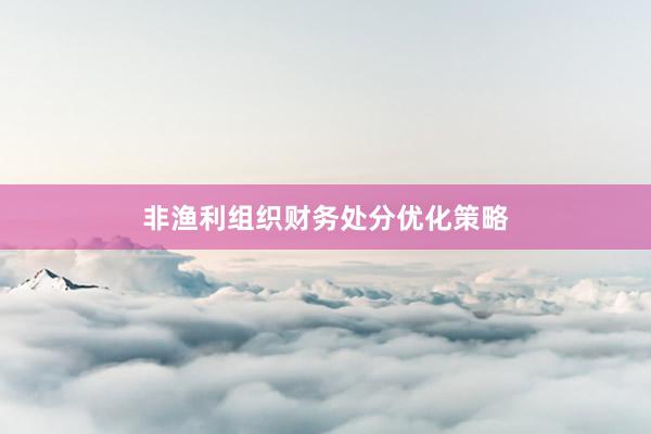 非渔利组织财务处分优化策略